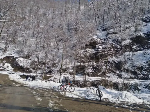 We Passed The Blossoms & Reached The Frozen Mountain Road