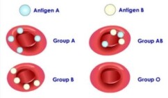 antigens