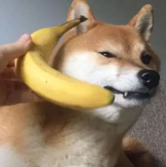 a0b2e3e5c1195f8ae728576f355e1650aced04ccff30c3e5db8e76cd5a867524.jpg