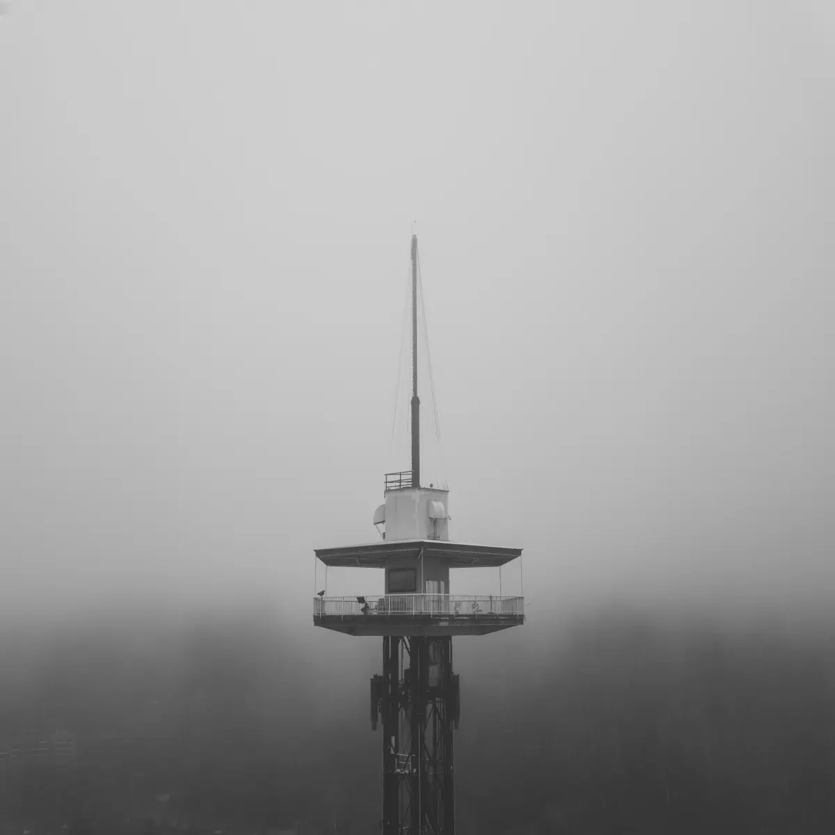 Space Needle in Gatlinburg, Tennesse on a hazy day in black and white