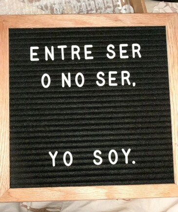 Seronoser