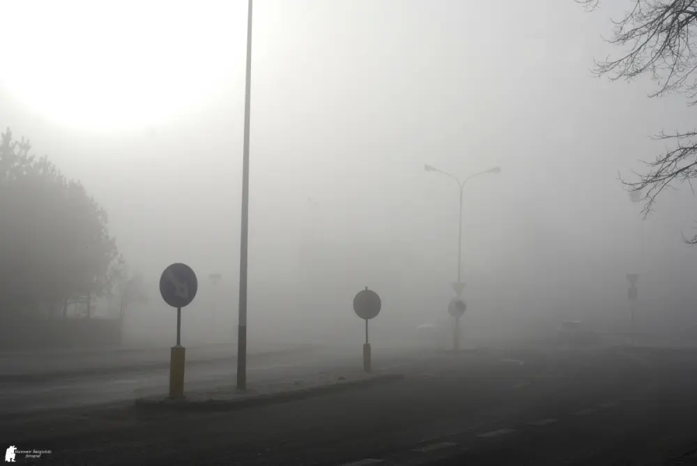 479a04d8e6c7a2ccc15824919c4409517070b550aad5e59873dccf243133fabd.jpg