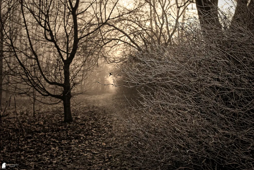 dbd6ffb5cbf14663fff554a55c1001a9ca191ac2d41c1551f90140865df1d562.jpg