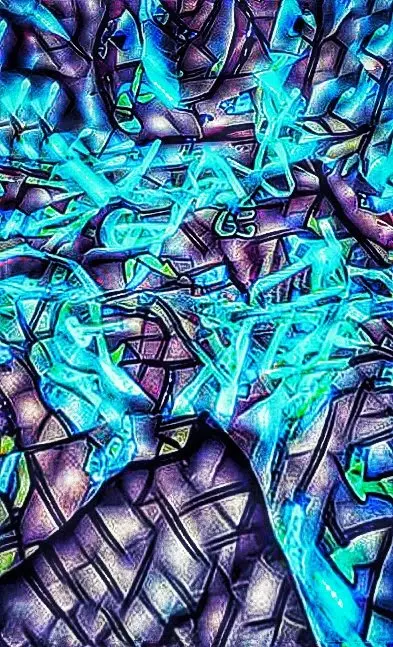 508d4f1215ba65aa3850176fe7a898caf3ab9954f7e7c80a6d404c280febf855.jpg