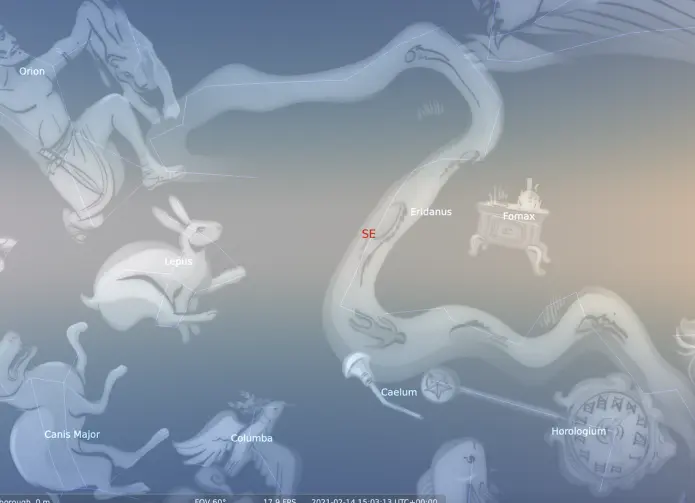 Lepus