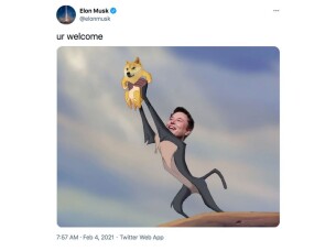 Elon Musk posts a Dogecoin meme