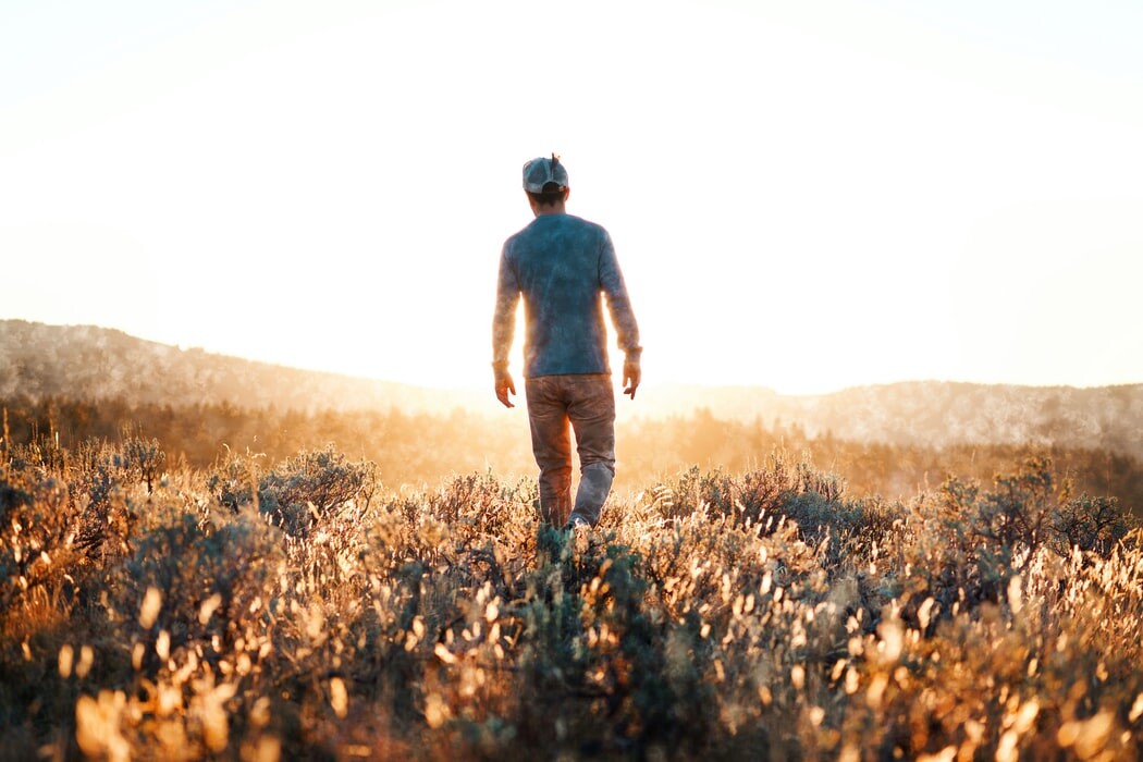 Image by Nathan Trampe from Unsplash