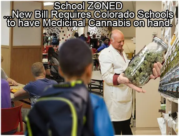 schoolzoned