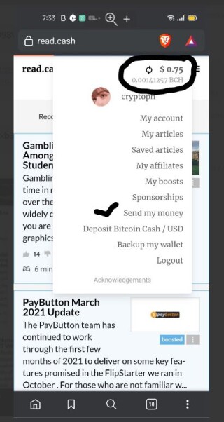BCH Wallet