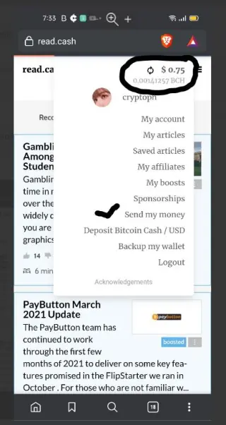 BCH Wallet