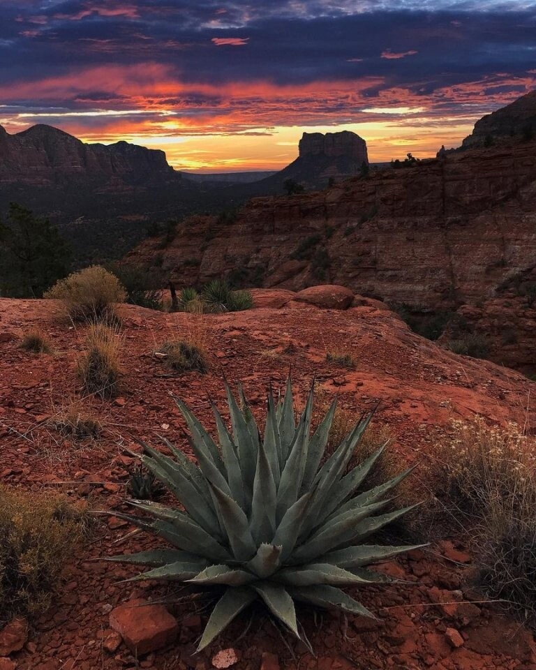 Nevada