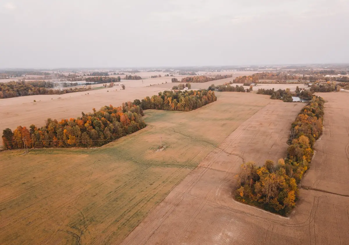 fields at harvest time