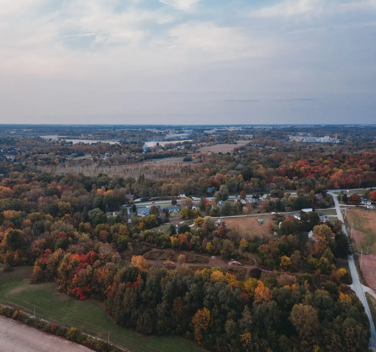 trees and roads in fall
