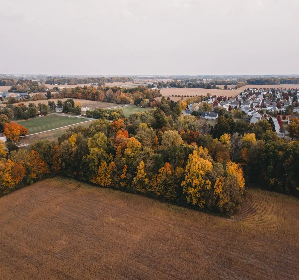 trees and houses in the country in indiana in fall