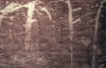 1fcb4fb26c1a6939963702ef18c5808bf28363d7e68a361548910798631855e1.png