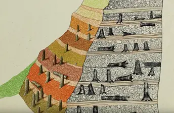 c79cb6ec14450a8a4d4a8f0a8c5bf3e0a6efef82cedce26125862b490e8fe7c8.png