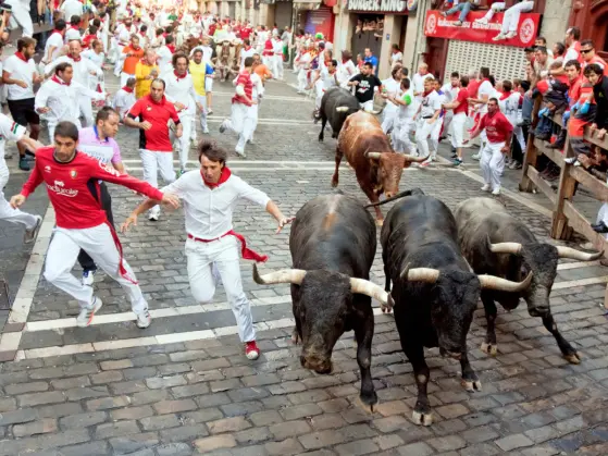 Crazy bull market...can you see altcoins?