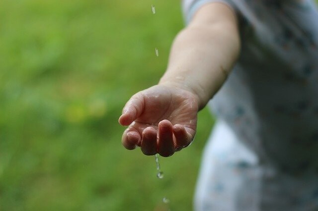nature, sustainability