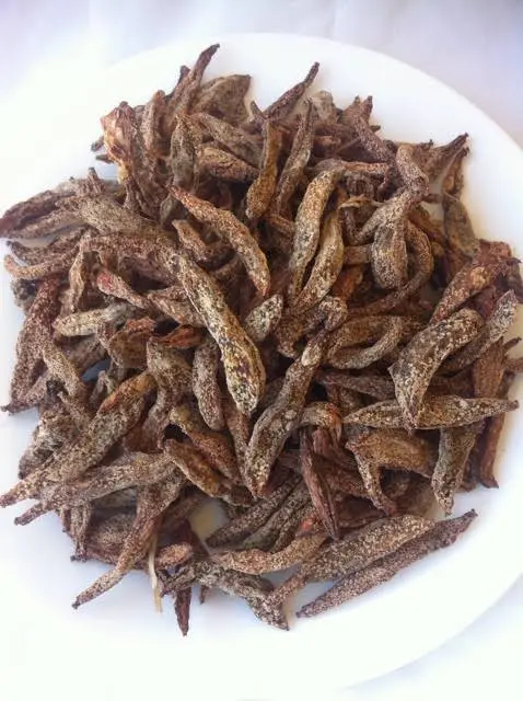 Dried bilimbi(pinatuyong kamias)