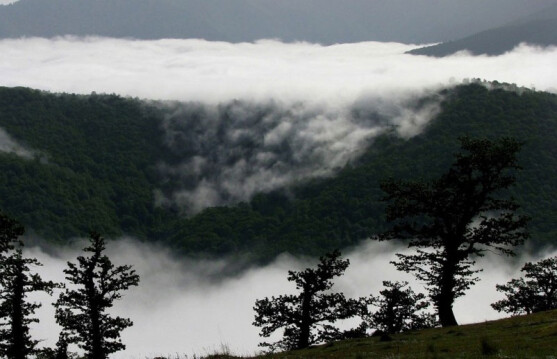Oh, my heart! |Lareh Folk Song of Mazandaran Province!