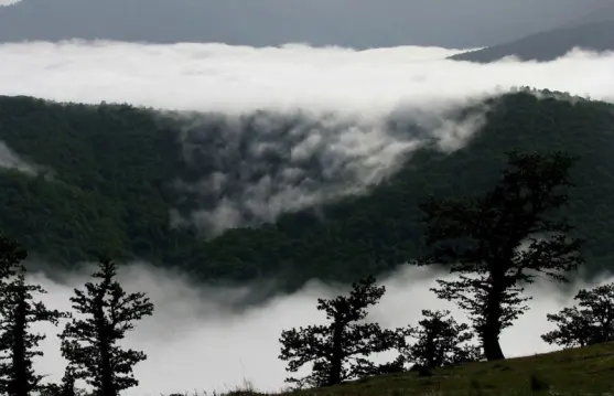 Oh, my heart! |Lareh Folk Song of Mazandaran Province!