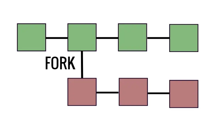 Fork Diagram