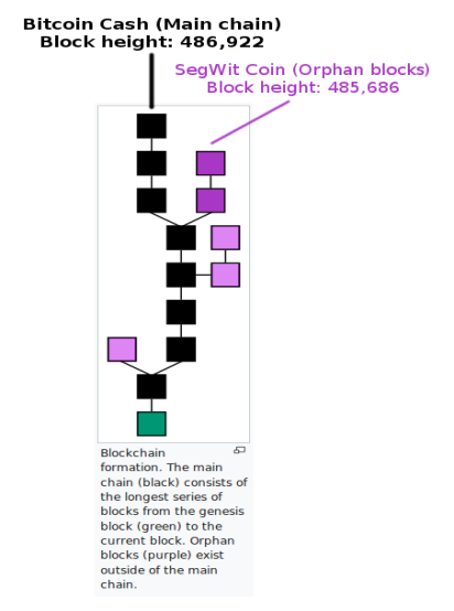 Alternate Fork Definition