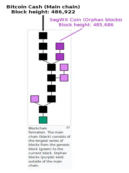 Alternate Fork Definition