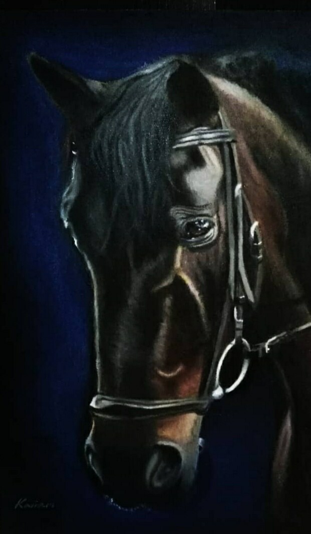 BlackBeauty