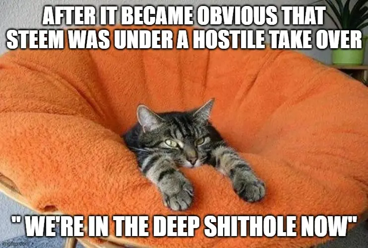 768388378b4d0a1ee0fc69878a5b31e53a9d557efc69e33f190ebde61ab973e0.jpg