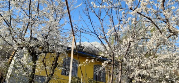 Drunk & Lyricist Nowruz / A Passionate Song of Homayoun