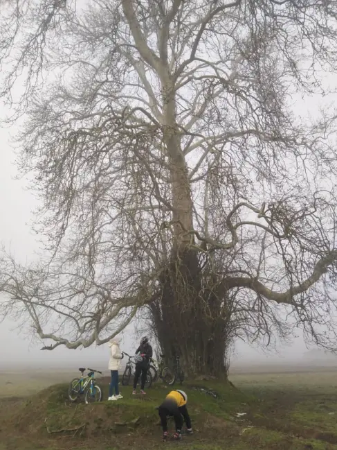 I Visited an Ancient Friend, Cycling in Fog Once Again