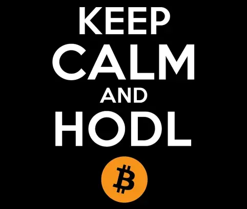 hodl crypto