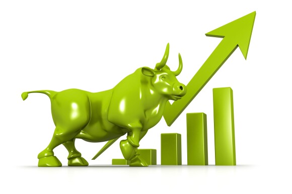 bull market