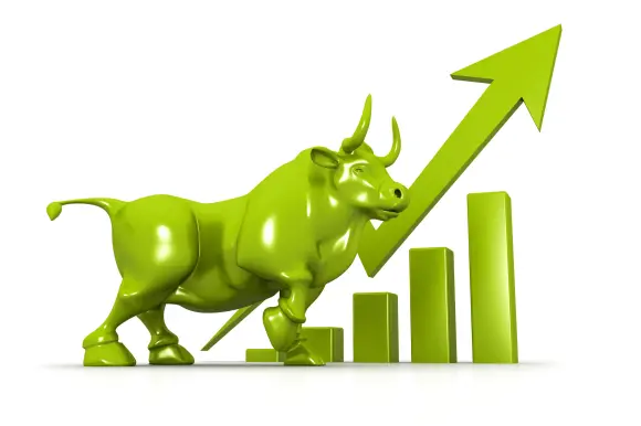 bull market