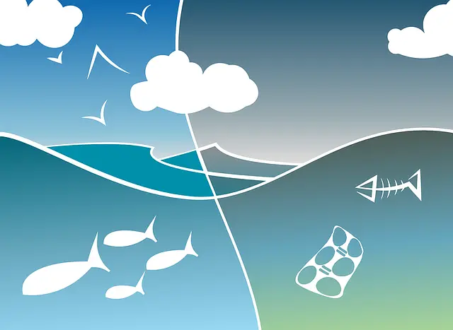 river, lake, ecosystem
