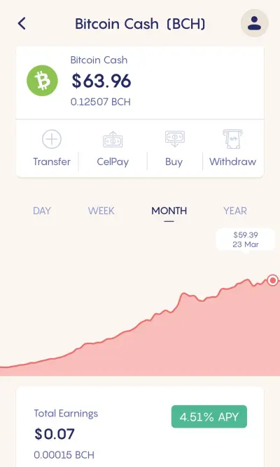 cel_screen_bch