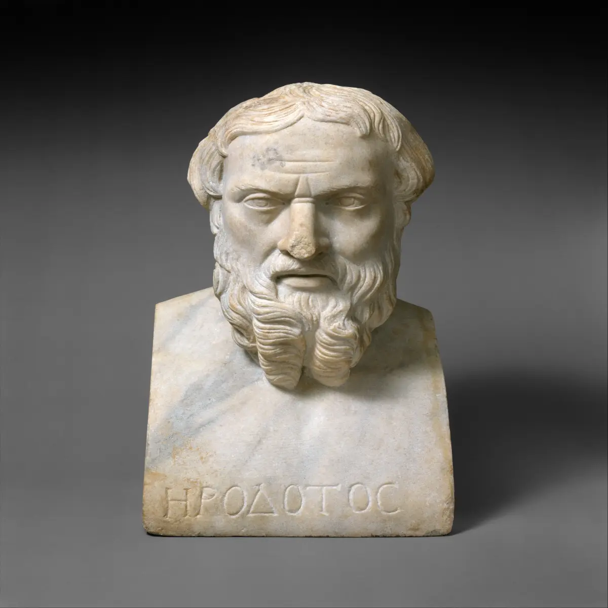 Herodotus bust