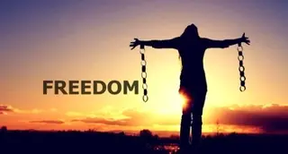 0689d884baca445dded0411171ec6ffb40655b4dbb7f6d6c179986855b3c2355.jpg