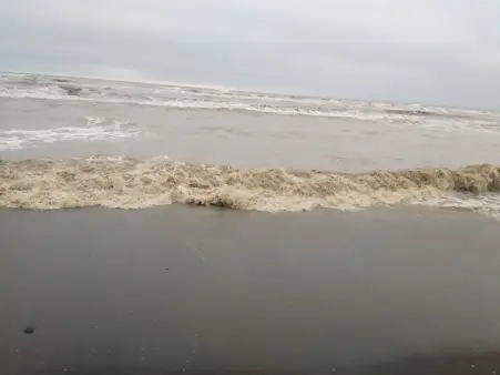 Muddy River, Dark waves & Sandy Beach