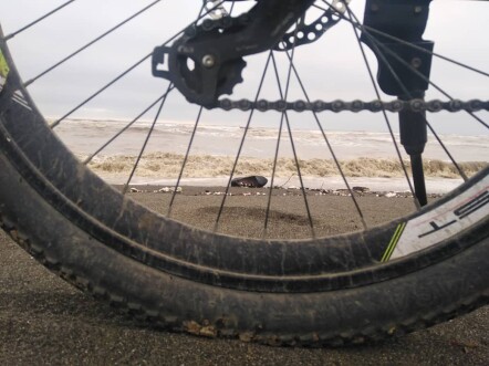 Muddy River, Dark waves & Sandy Beach
