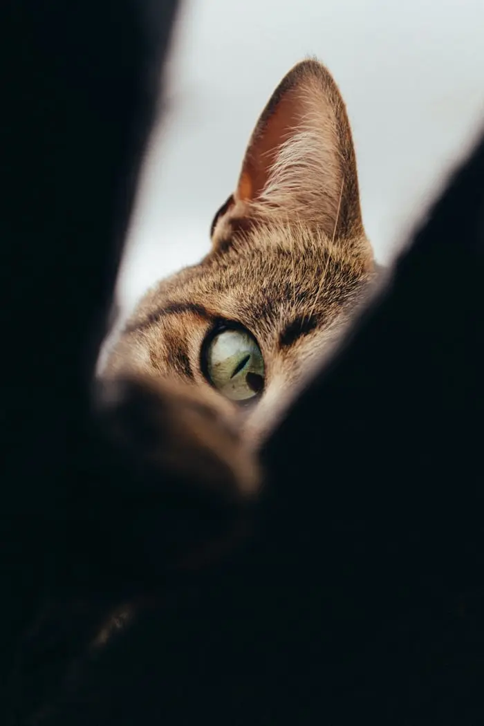 unsplash.com