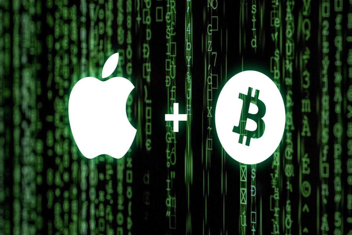 4e0686708ed7d89cfebe0666b7edc26785075e24e6b1918596989bc6668716bd.jpg