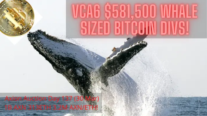 Axion Crypto Venture Capital Auction 6 Close