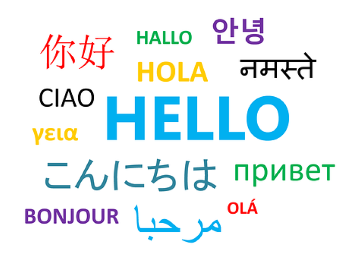 351665157-0b5a19f9ec073bc15cd85ce294e649e4970ed1fb25edad4ea1eeb759d1ed908c.png