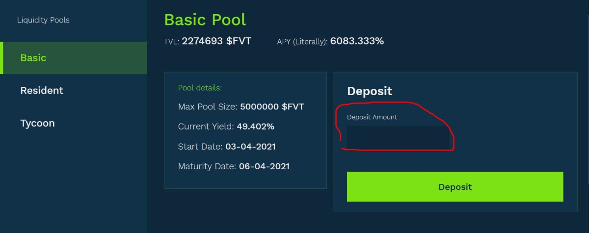 fvt deposit page