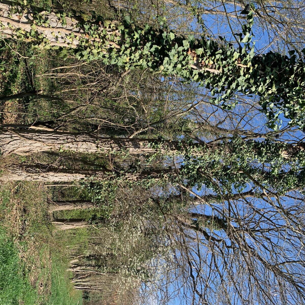 e3fba55e77c107f281a0ec6be36f55328703175b9575d86ef360c17c058f1d76.jpg