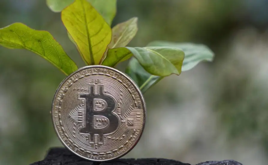 Green Bitcoin