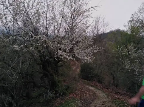 A Friend Asked Me Why You Love Hiking at Dawn?