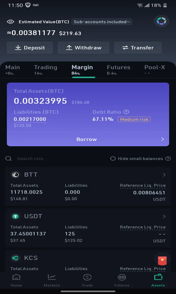 Top 219$ balance. In middle 125$ on loan